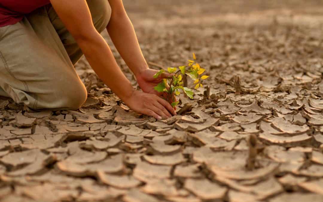 Što je globalno zatopljenje i kako ga možemo usporiti