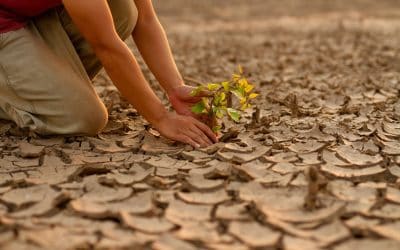 Što je globalno zatopljenje i kako ga možemo usporiti